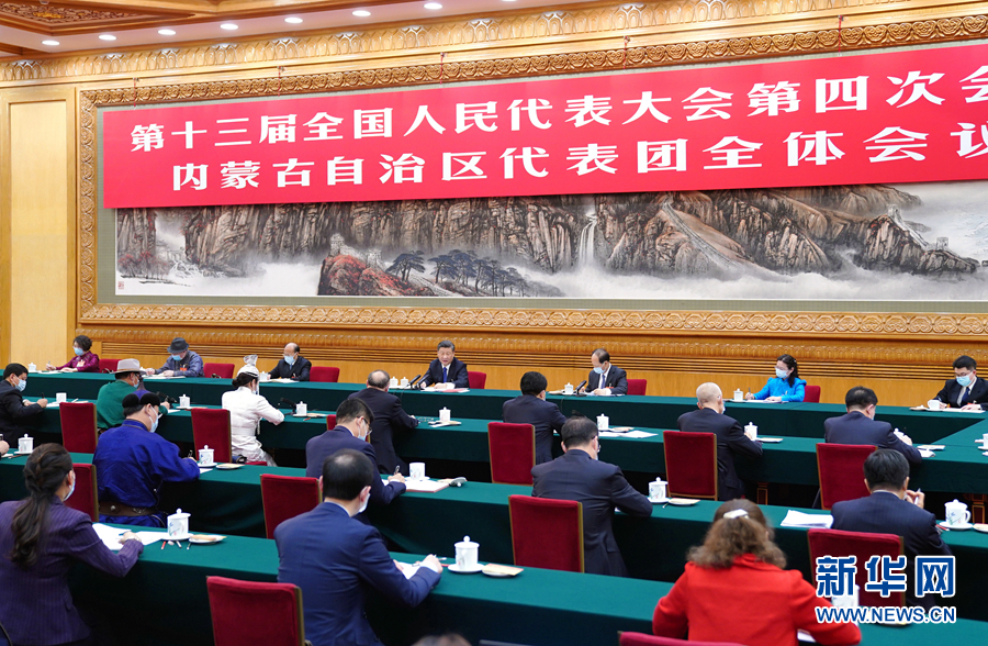 3月5日,中共中央总书记、国家主席、中央军委主席习近平参加十三届全国人大四次会议内蒙古代表团的审议。新华社记者 谢环驰 摄