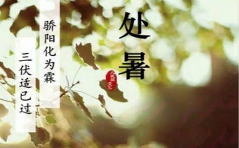 查看源图像