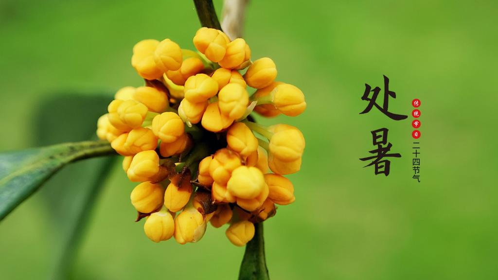 查看源图像