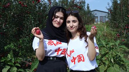 mmexport1758874063331